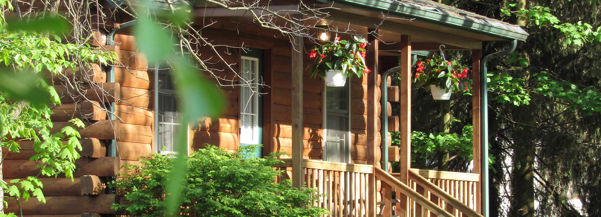 cabin with leaves in foreground